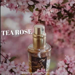 TEA ROSE